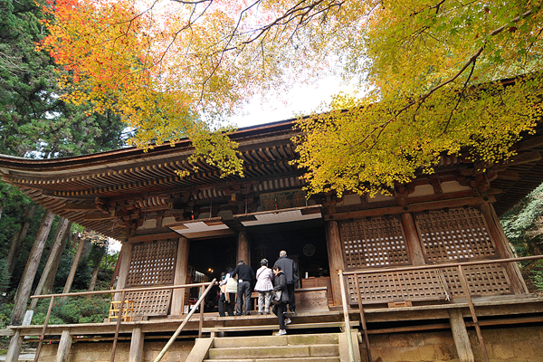室生寺：見どころ7〜9｜ますます訪ねたくなる奈良