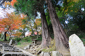 写真：古来より歌や物語にも。長谷寺は文化人が多く訪れた場所