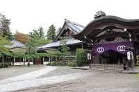 hasedera