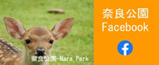 奈良公園Facebook