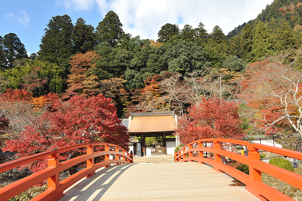 室生寺：見どころ1〜3｜ますます訪ねたくなる奈良