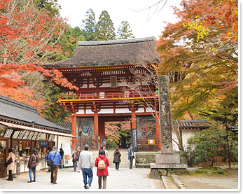 写真：室生寺の見どころ2