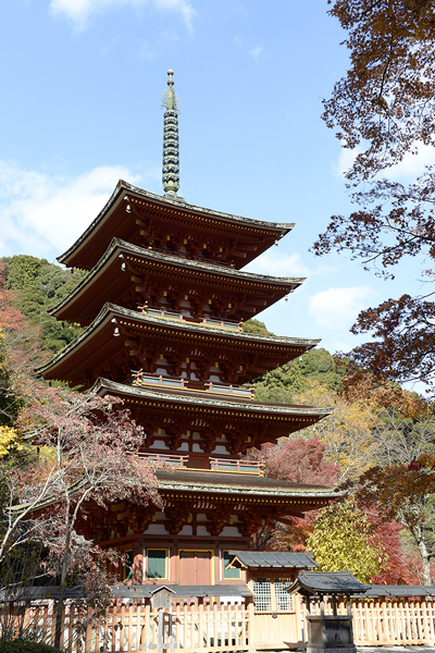長谷寺：コラム「古来より歌や物語にも。長谷寺は文化人が多く