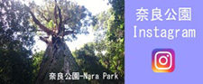 奈良公園Instagram
