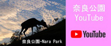 奈良公園Youtube