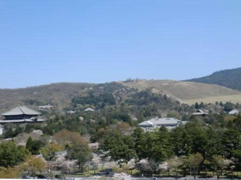 東側に広がる奈良公園