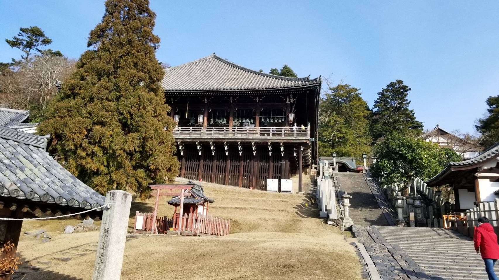 奈良公園クイックガイド » 今日の奈良公園